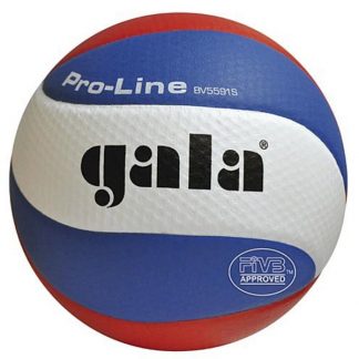 Míč volejbal PRO-LINE GALA  profi 5591S