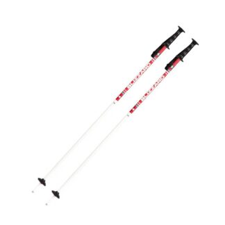 Sjezdové hole Blizzard RACE JUNIOR 70-90 cm 85